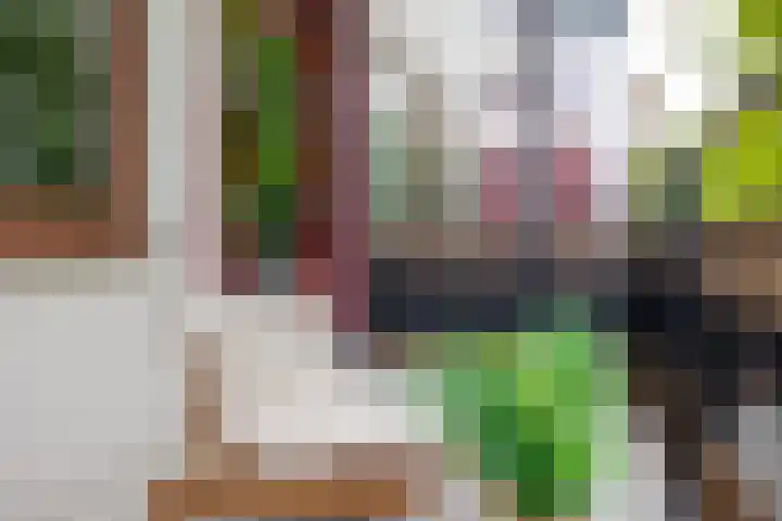 Korianderhof 57 Wierden thumbnail 15