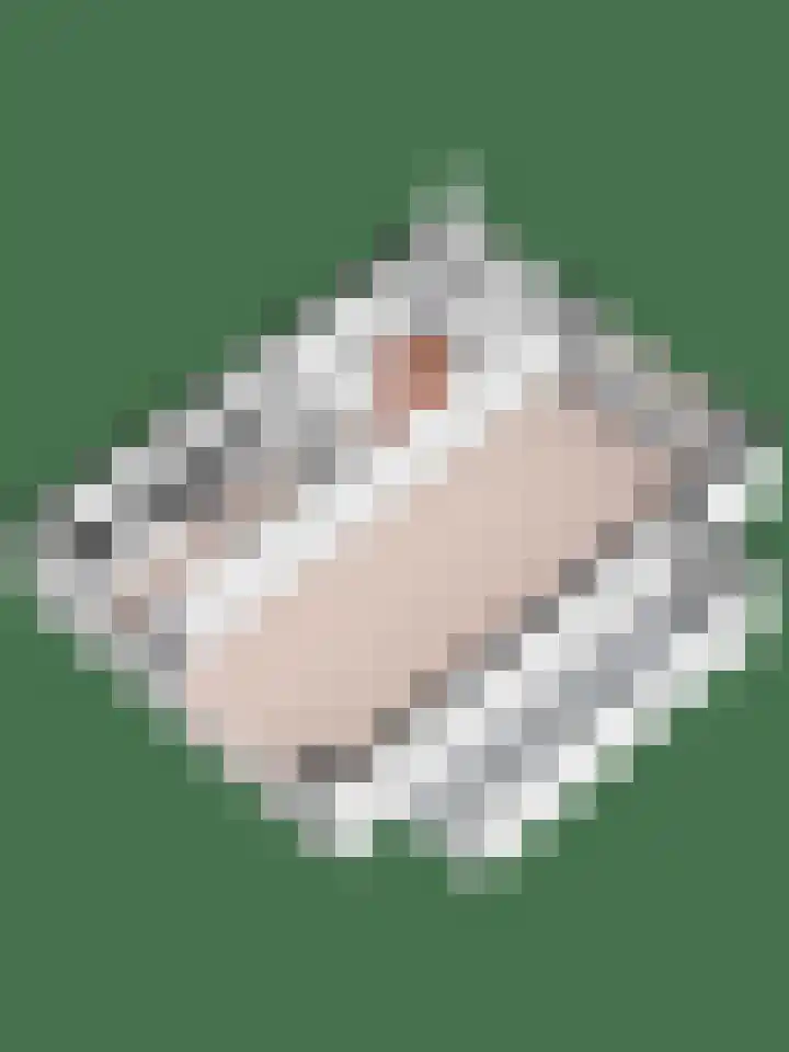Korianderhof 57 Wierden thumbnail 48