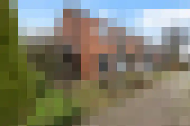 Korianderhof 57 Wierden thumbnail 5