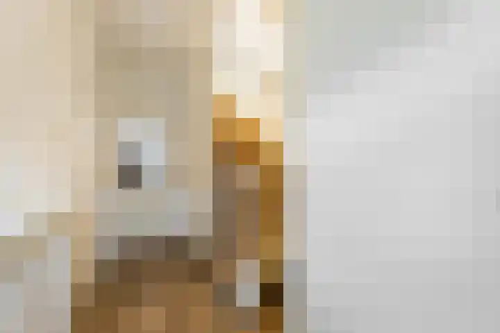 Korianderhof 57 Wierden thumbnail 7