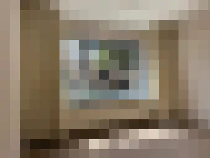 Korianderhof 67 Wierden thumbnail 11