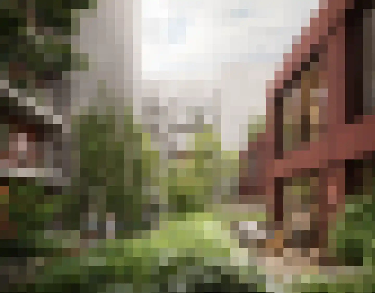 Korianderhof 67 Wierden thumbnail 25