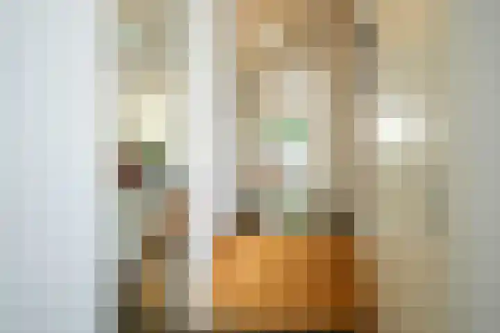 Korianderhof 67 Wierden thumbnail 31