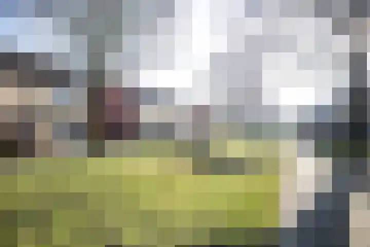 Korianderhof 72 Wierden thumbnail 35