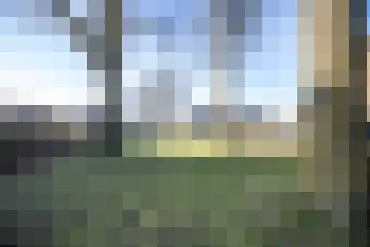 Korianderhof 72 Wierden thumbnail 36