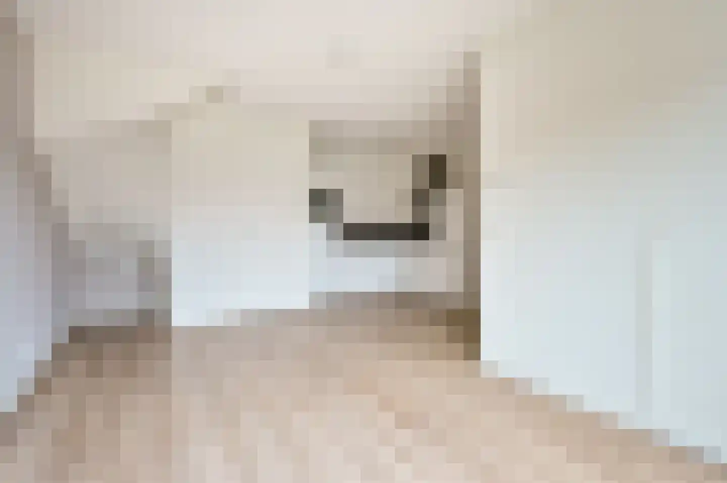 Korianderhof 9 Almere thumbnail 8