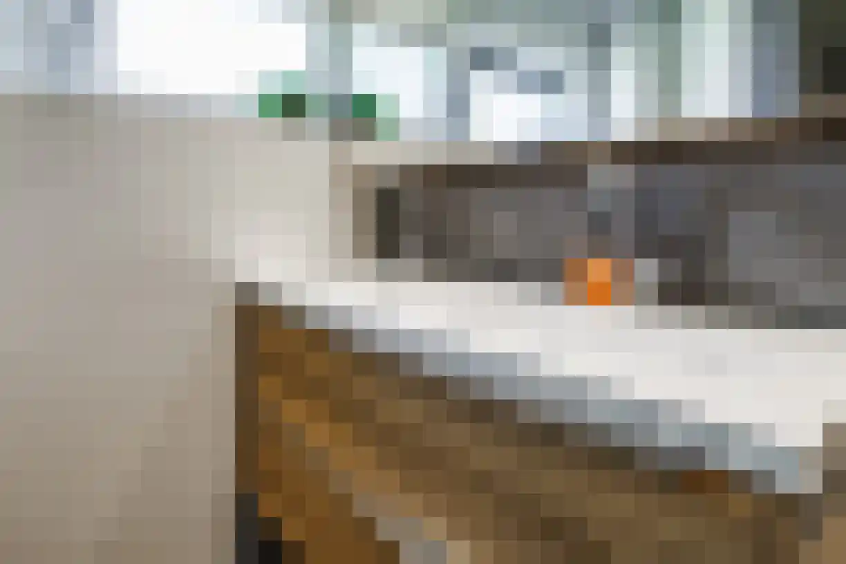 Korianderhof 97 Wierden thumbnail 24