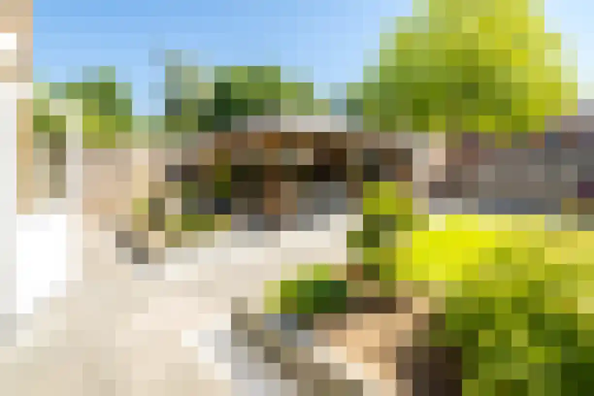 Korianderhof 97 Wierden thumbnail 31