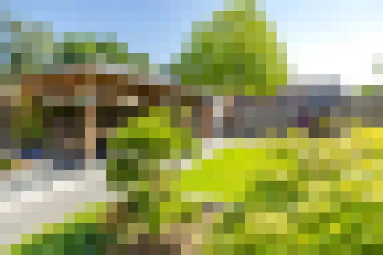Korianderhof 97 Wierden thumbnail 32
