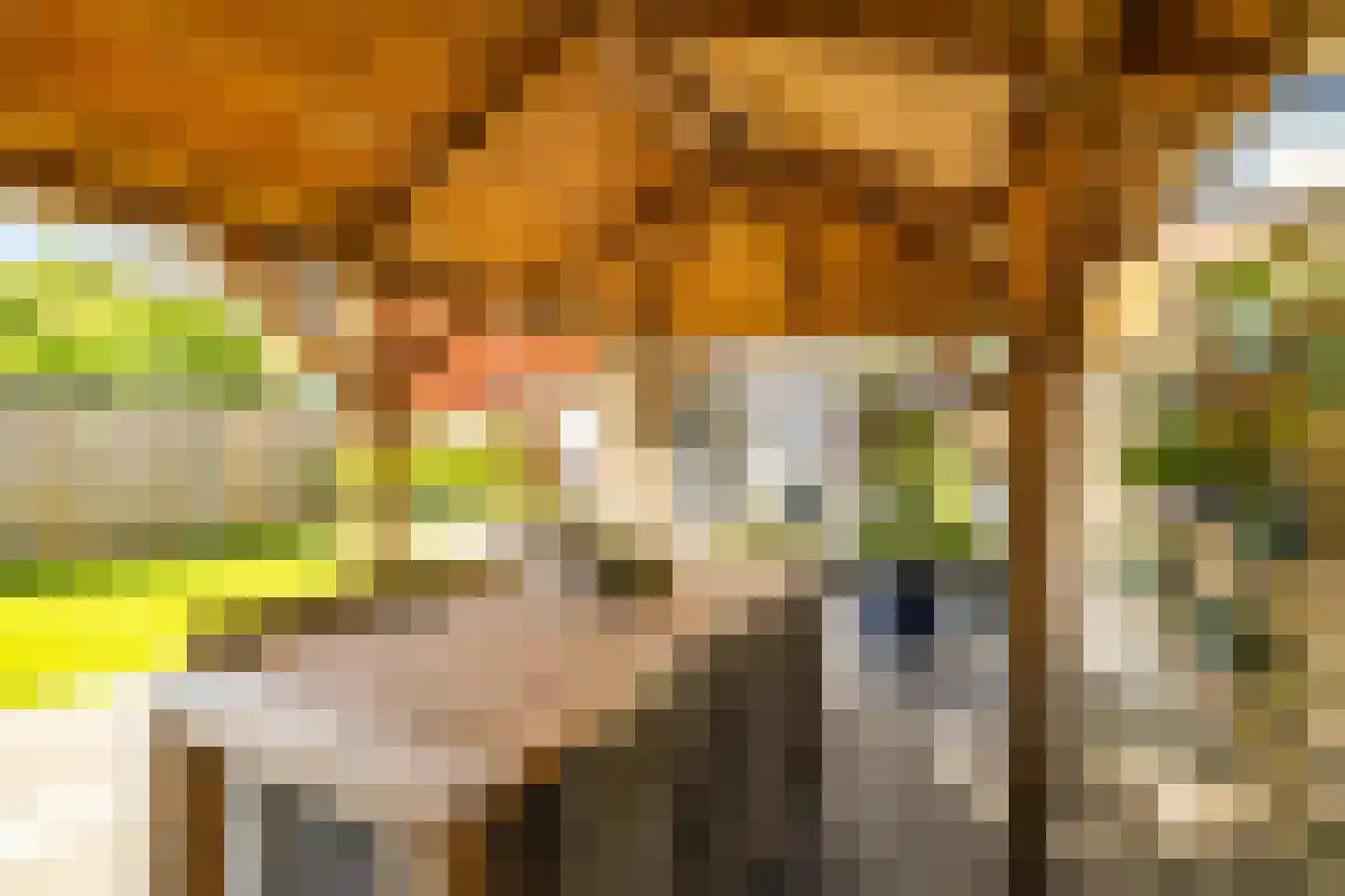 Korianderhof 97 Wierden thumbnail 34