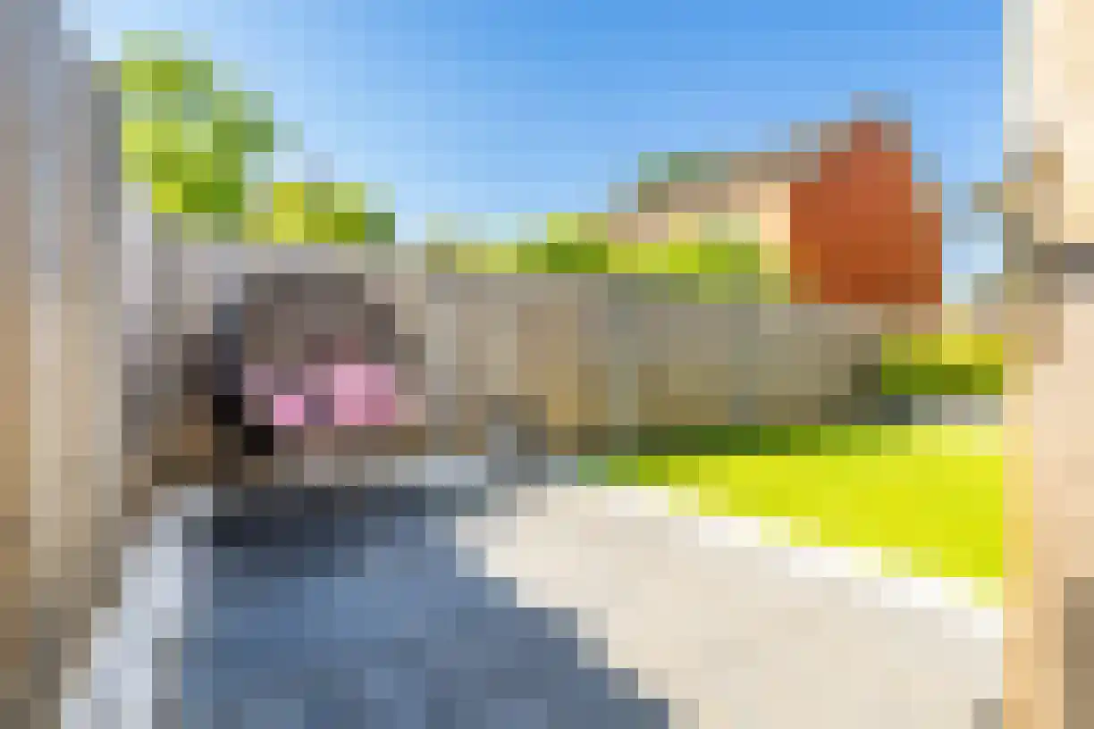 Korianderhof 97 Wierden thumbnail 39