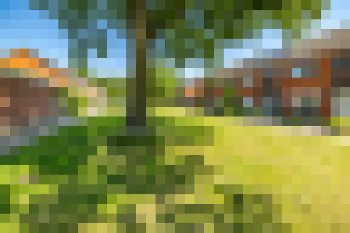 Korianderhof 97 Wierden thumbnail 44