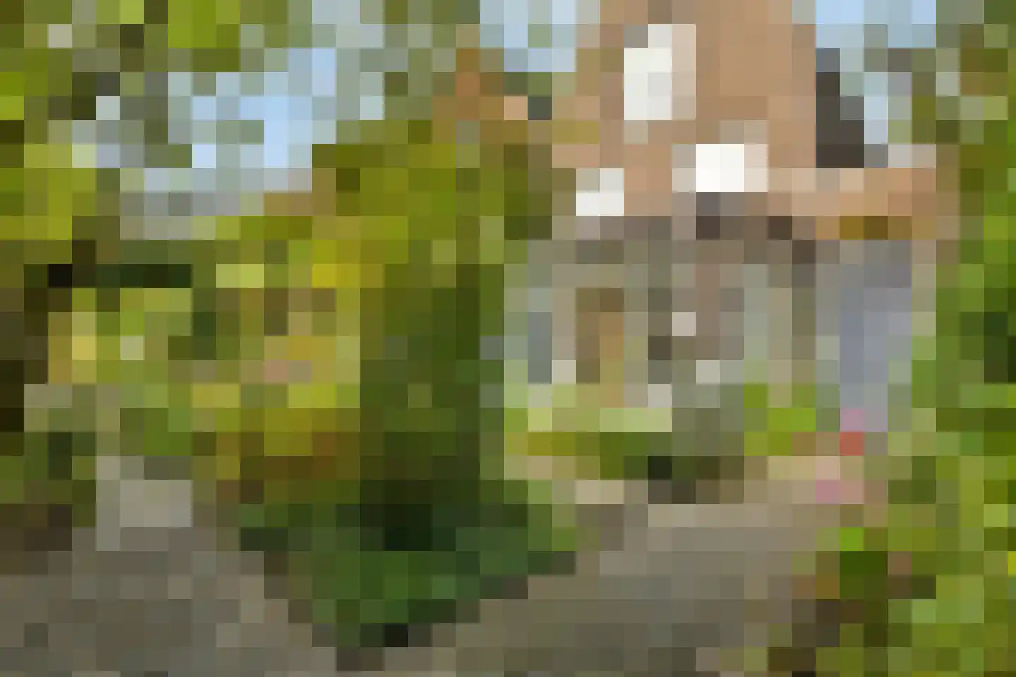 Korianderlaan 28 Amstelveen thumbnail 10