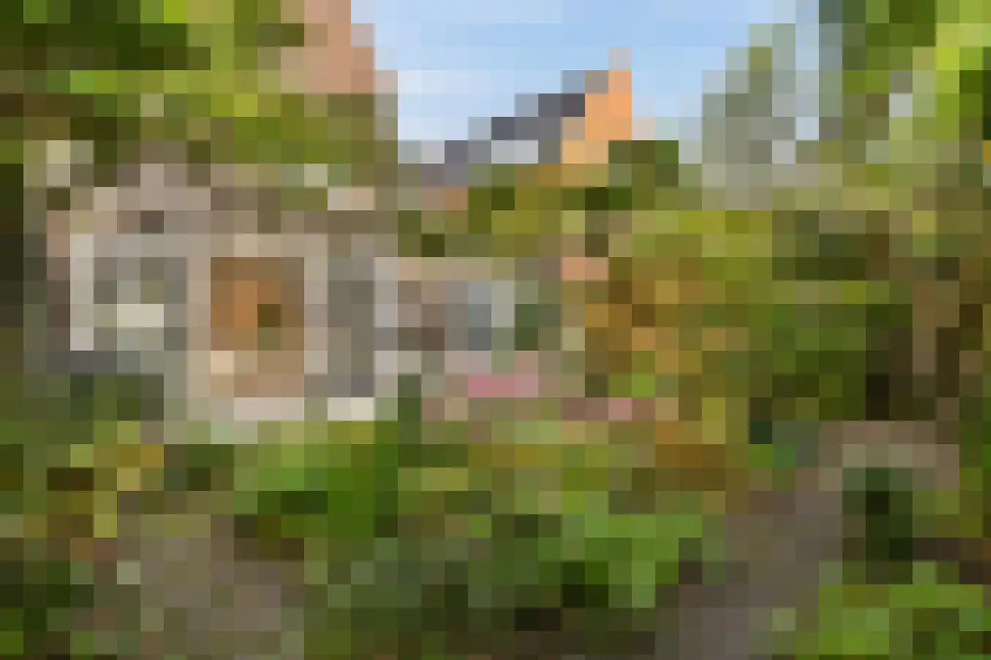 Korianderlaan 28 Amstelveen thumbnail 11