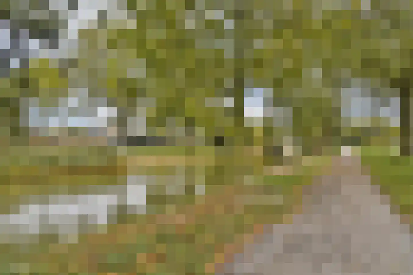 Korianderlaan 28 Amstelveen thumbnail 31
