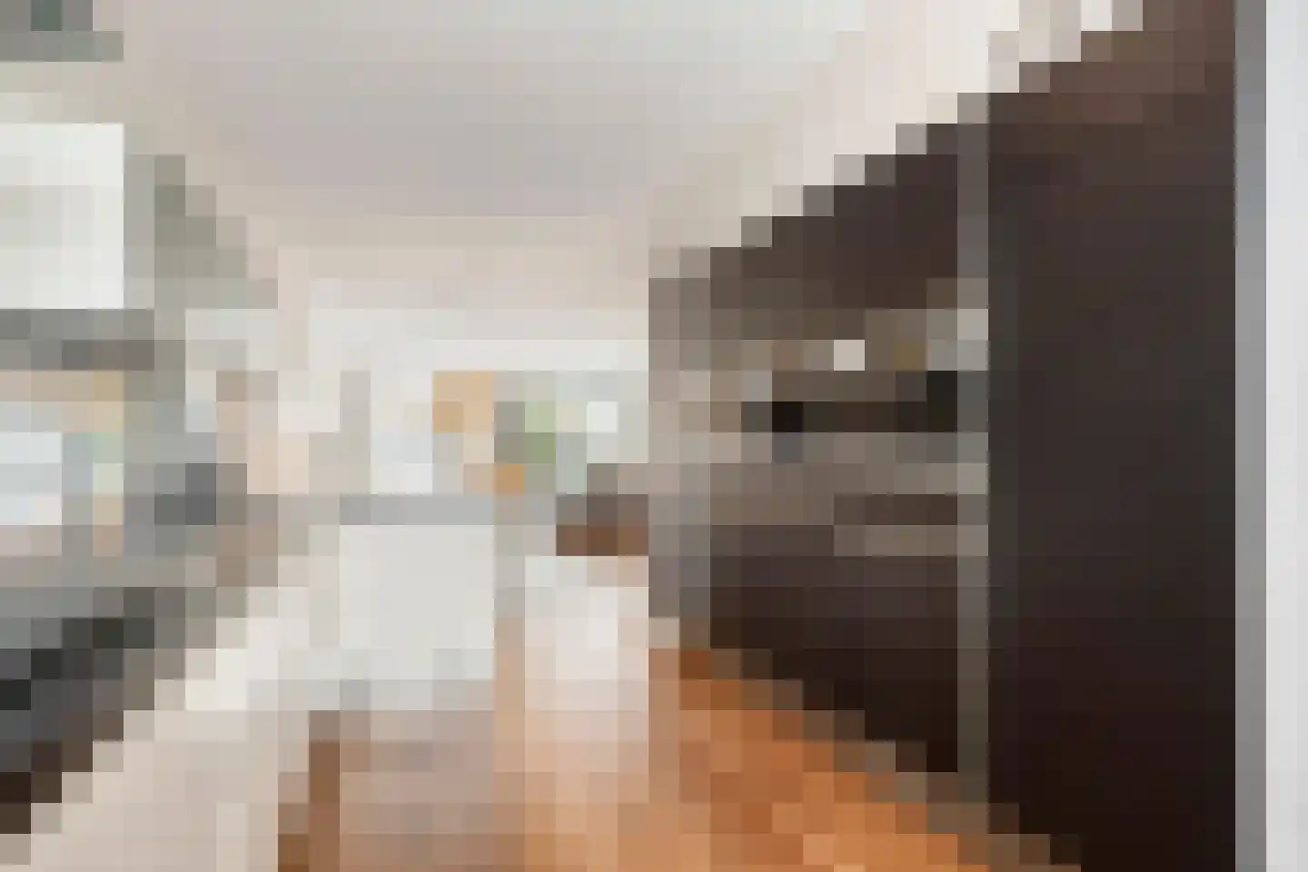 Korianderlaan 50 Amstelveen thumbnail 10