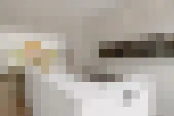 Korianderlaan 56 Amstelveen thumbnail 11