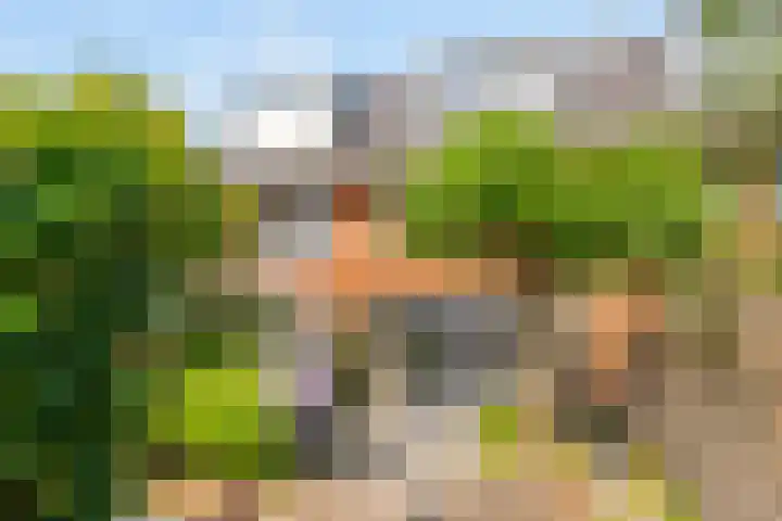 Korianderlaan 56 Amstelveen thumbnail 33