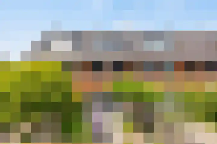 Korianderlaan 56 Amstelveen thumbnail 34