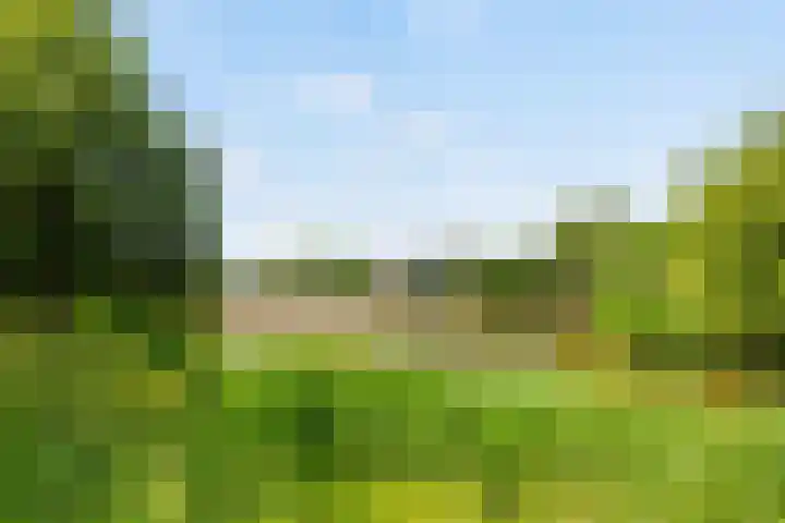 Korianderlaan 56 Amstelveen thumbnail 39