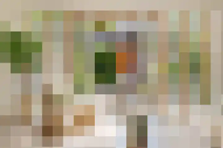 Korianderlaan 56 Amstelveen thumbnail 4