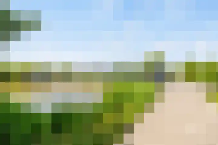 Korianderlaan 56 Amstelveen thumbnail 40