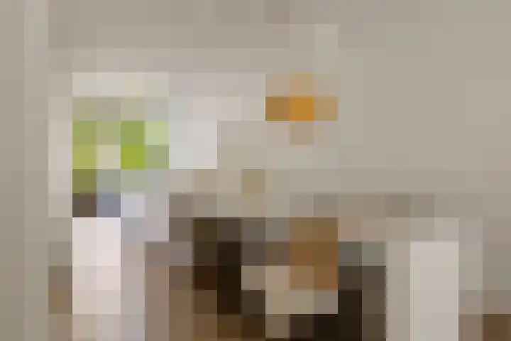 Korianderlaan 56 Amstelveen thumbnail 8