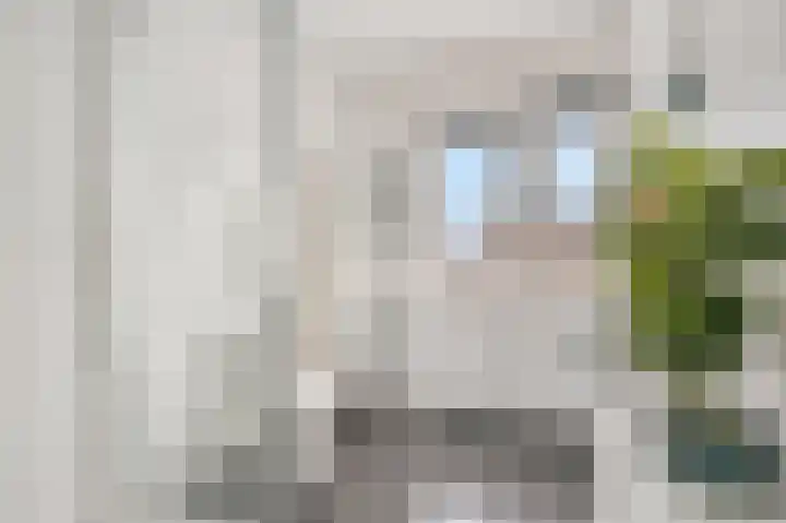 Korianderpad 22 Nijmegen thumbnail 20