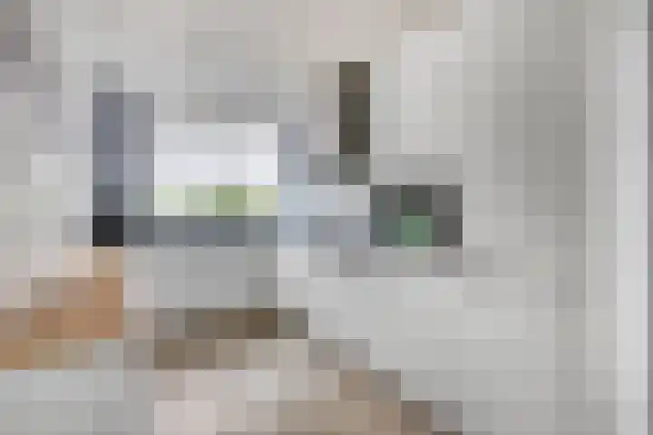 Korianderpad 6 Nijmegen thumbnail 10