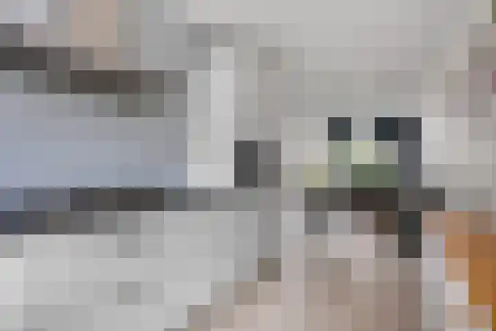 Korianderpad 6 Nijmegen thumbnail 12