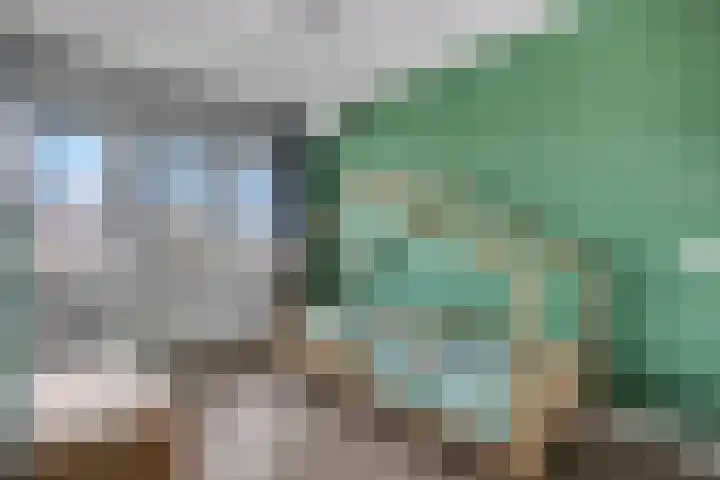 Korianderpad 6 Nijmegen thumbnail 17