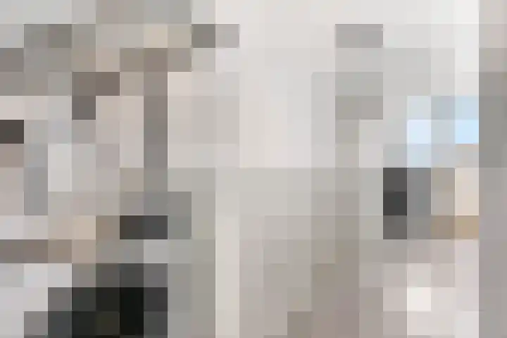 Korianderpad 6 Nijmegen thumbnail 23
