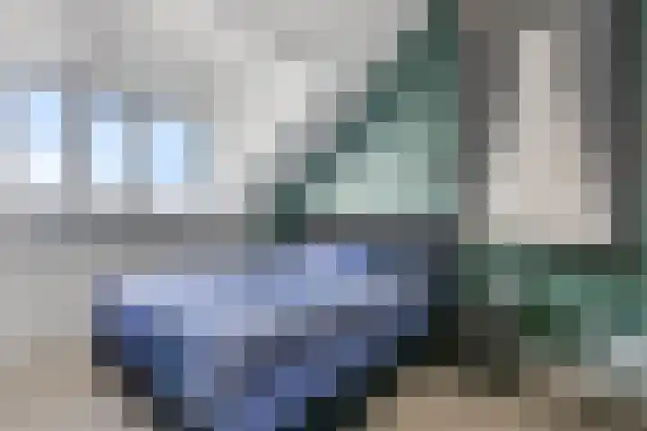 Korianderpad 6 Nijmegen thumbnail 25