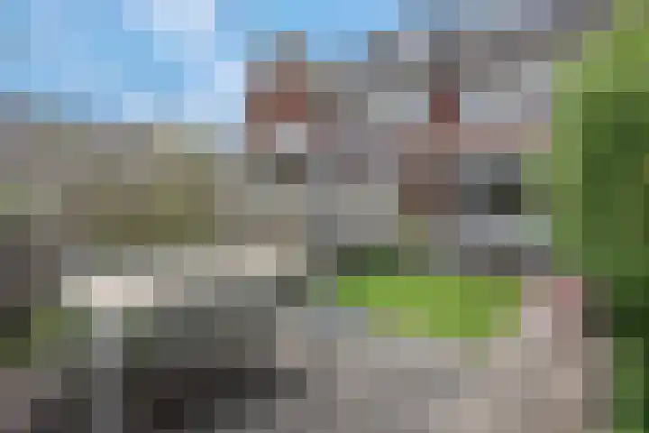 Korianderpad 6 Nijmegen thumbnail 26
