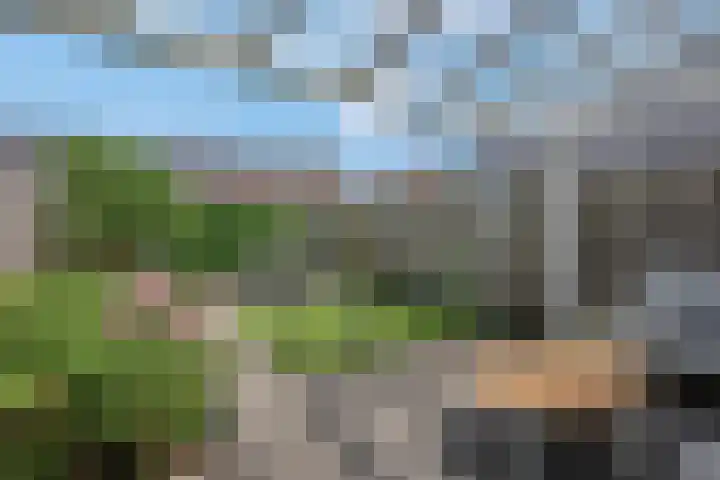 Korianderpad 6 Nijmegen thumbnail 27