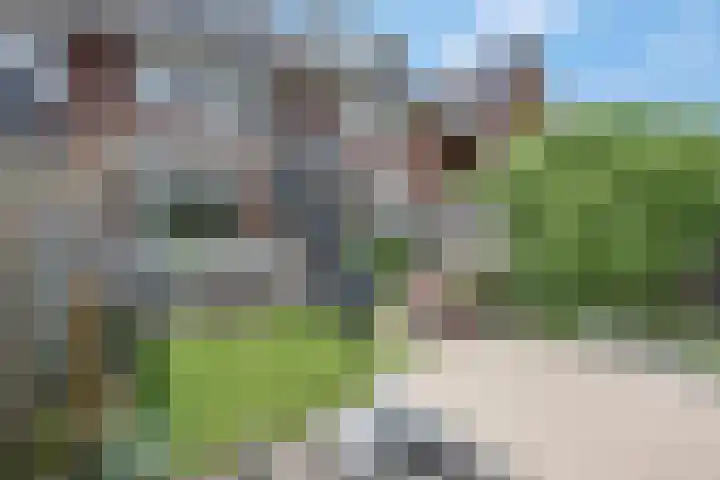 Korianderpad 6 Nijmegen thumbnail 28