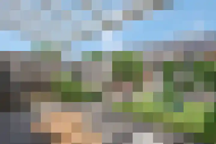 Korianderpad 6 Nijmegen thumbnail 30