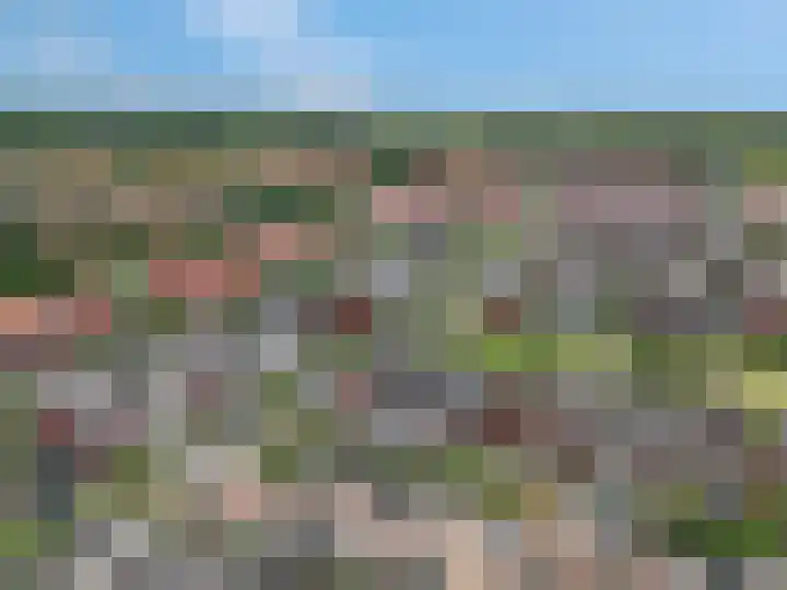 Korianderpad 6 Nijmegen thumbnail 36