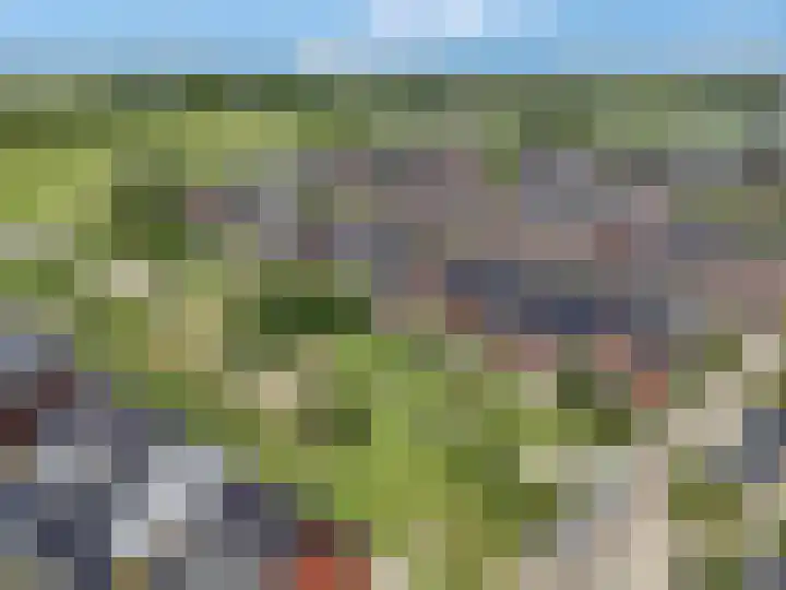 Korianderpad 6 Nijmegen thumbnail 37
