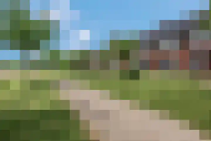 Korianderpad 6 Nijmegen thumbnail 4