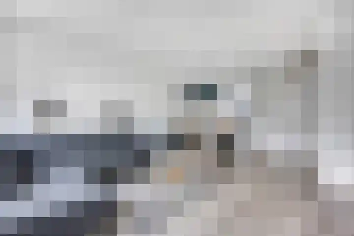 Korianderpad 6 Nijmegen thumbnail 7