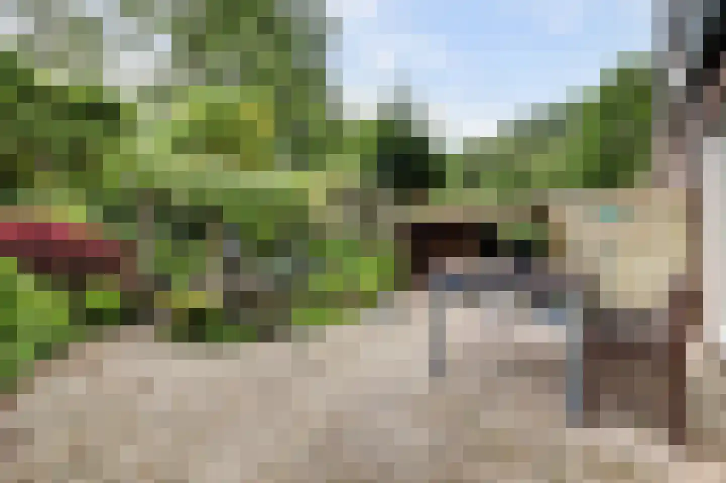 Korianderplaats 26 Rozenburg thumbnail 35