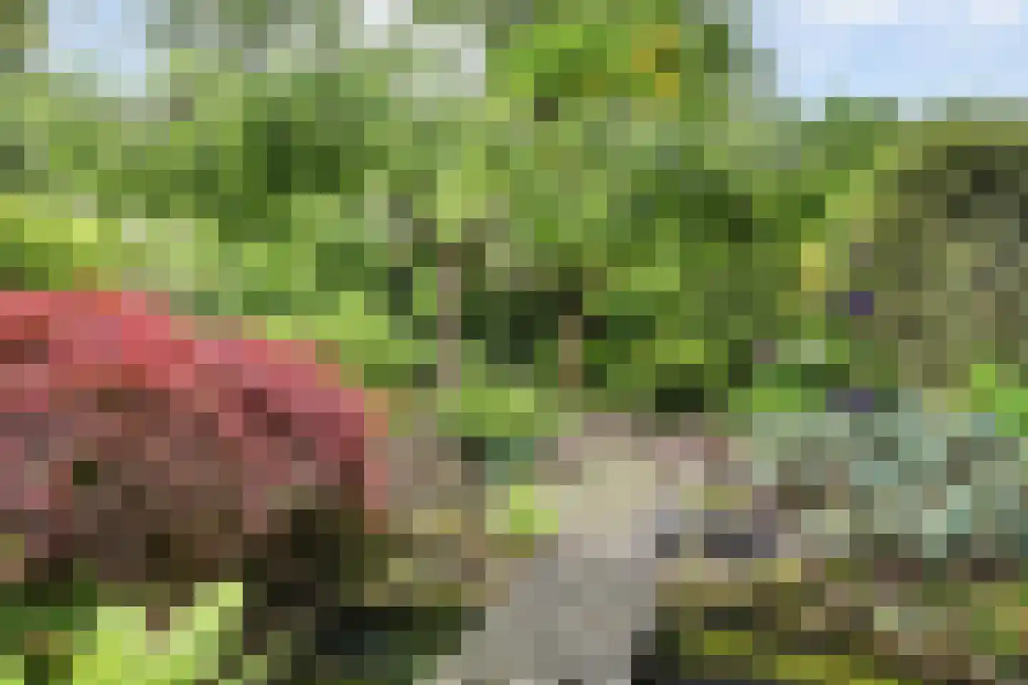 Korianderplaats 26 Rozenburg thumbnail 36