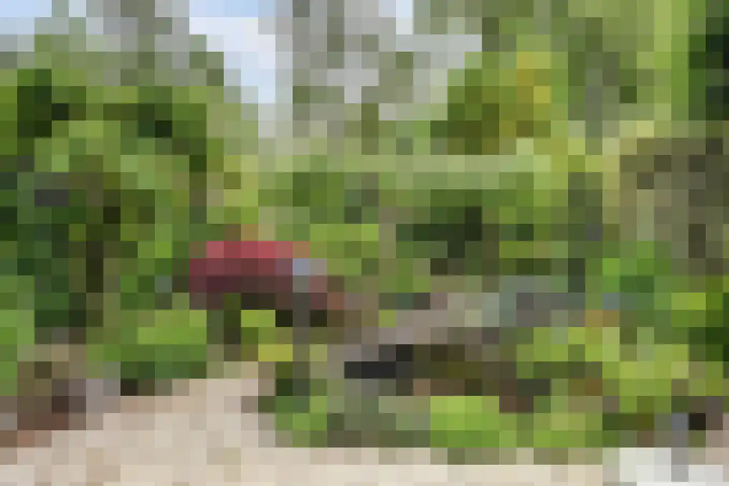 Korianderplaats 26 Rozenburg thumbnail 37