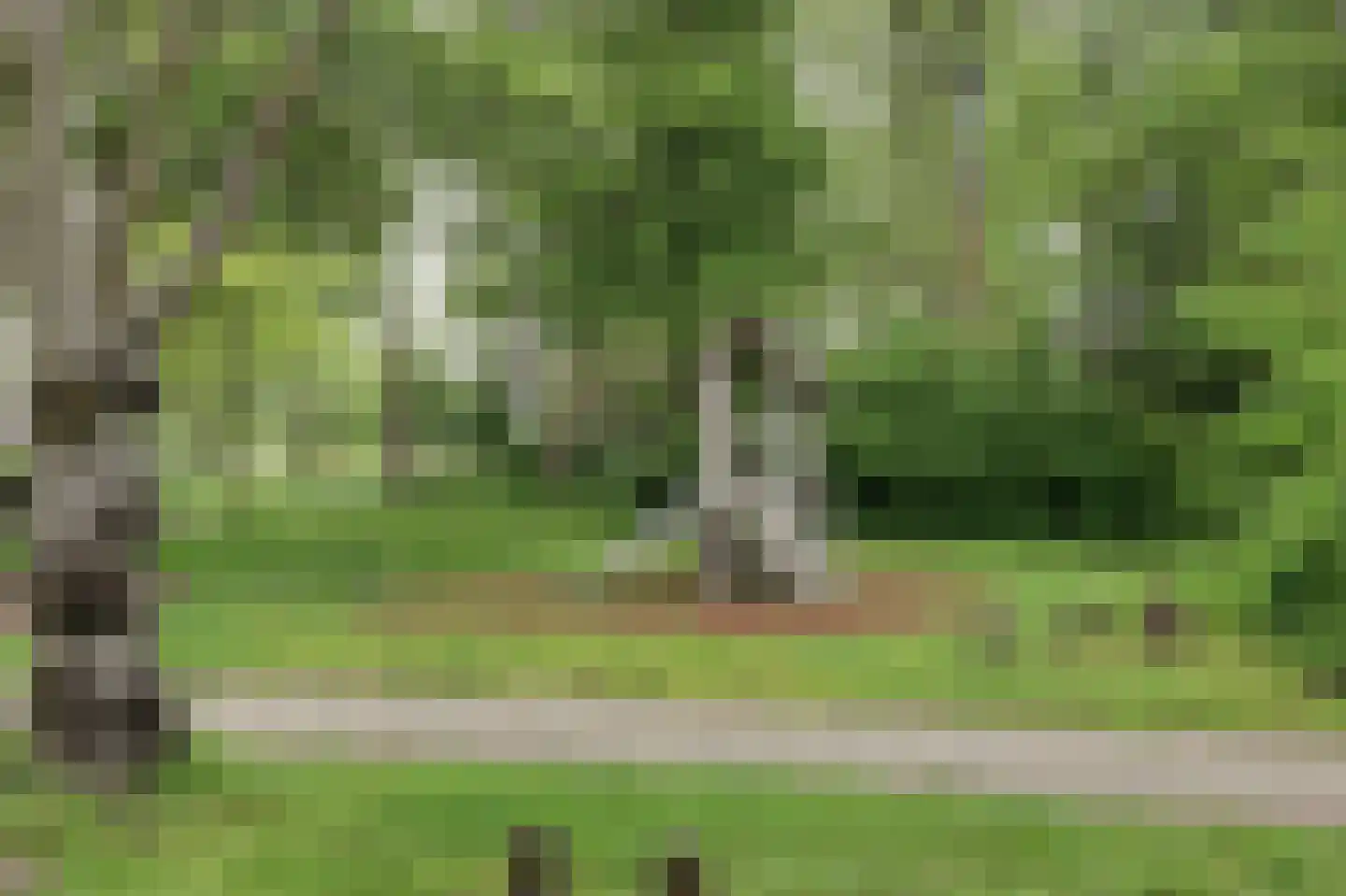 Korianderplaats 26 Rozenburg thumbnail 45