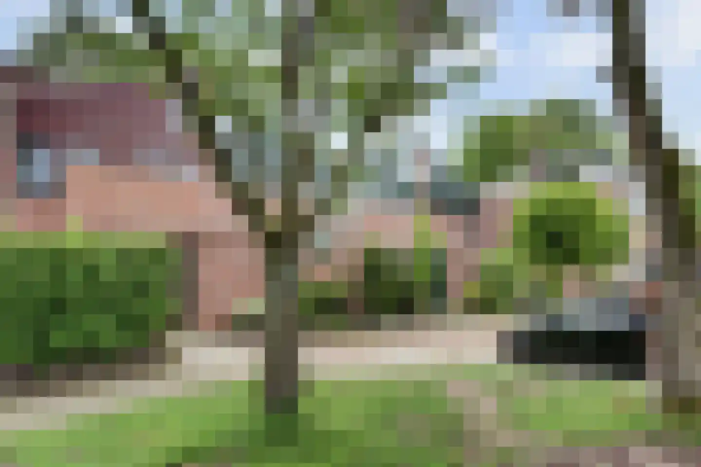 Korianderplaats 26 Rozenburg thumbnail 5