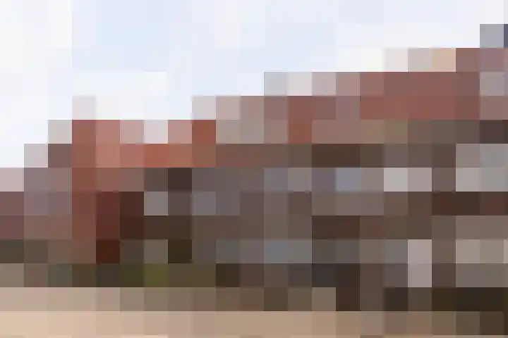 Korianderstraat 103 B Eindhoven thumbnail 15