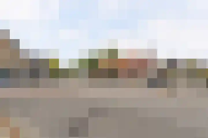 Korianderstraat 103 B Eindhoven thumbnail 16