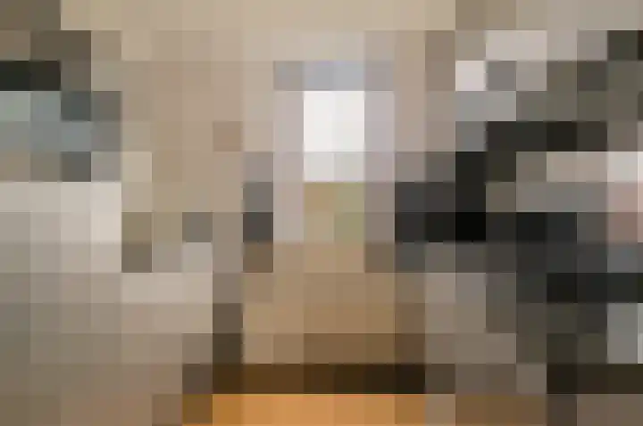 Korianderstraat 103 B Eindhoven thumbnail 7