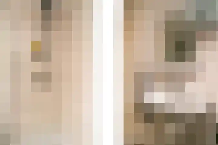 Korianderstraat 103 B Eindhoven thumbnail 9